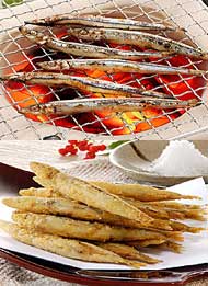 �啪���Y�L�r�i�S