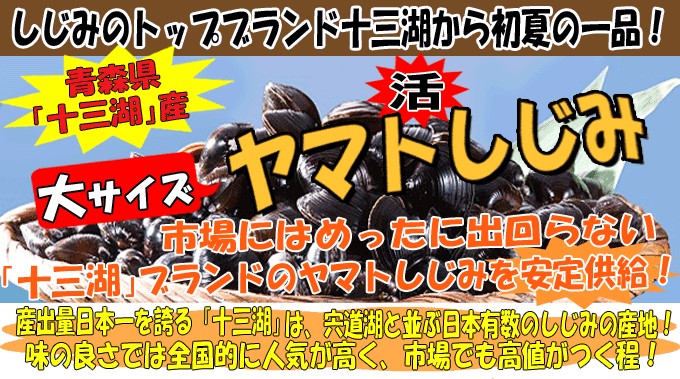 �X���\�O�ΎY���}�g�V�W�~