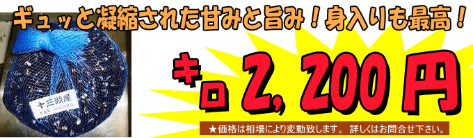 �X���\�O�ΎY���}�g�V�W�~