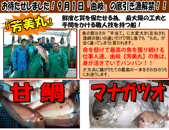 �h�R��h������ԋ����ցI�E�l�Z�����D�y�F���ہz��肨�͂�