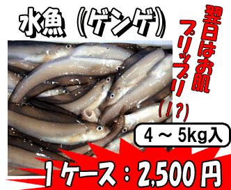 �����i�Q���Q�j