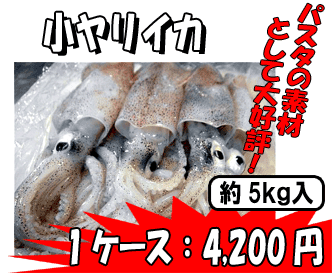 �������C�J