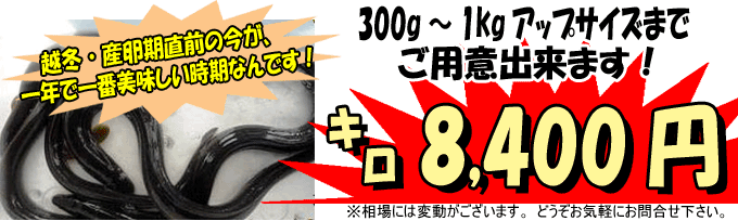 �X�����쌴�ΎY�V�R���Ȃ�