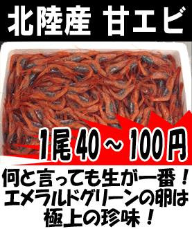 �k���Y�ÃG�r