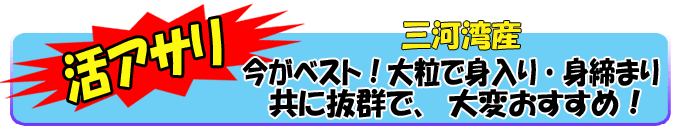 �O�͘p�Y�A���A�T��