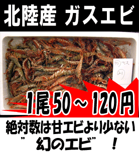 �k���Y�K�X�G�r