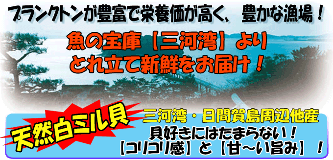 �O�͘p�Y�A�V�R���~���L