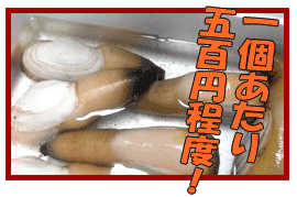 �O�͘p�Y�A�V�R���~���L