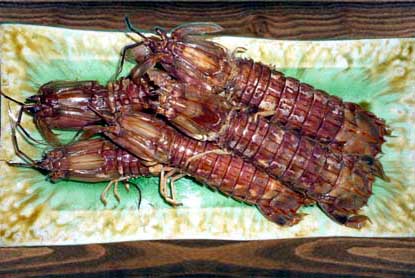 �X�������p�Y�@���V���R