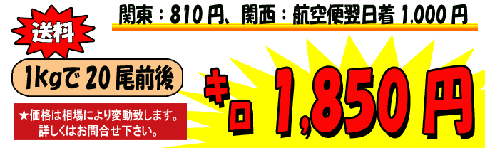 �X�������p�Y�@���V���R