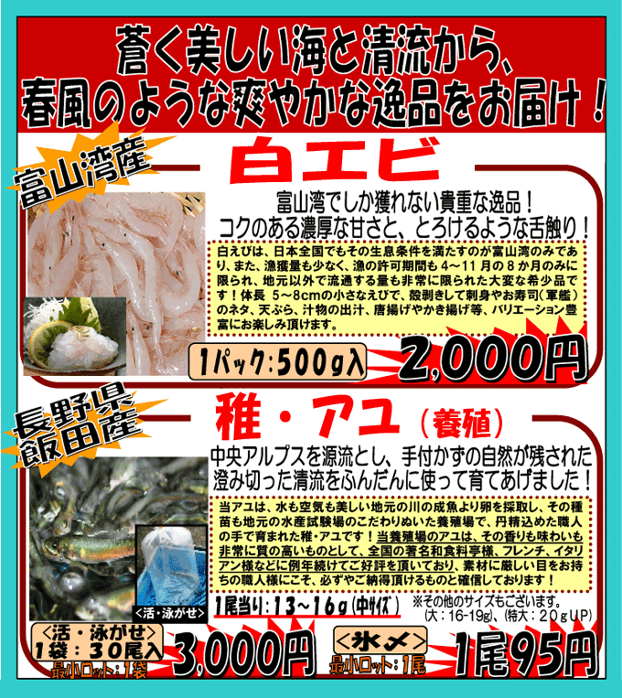 �x�R�p�Y���G�r�E���쌧�ѓc�Y�t�A