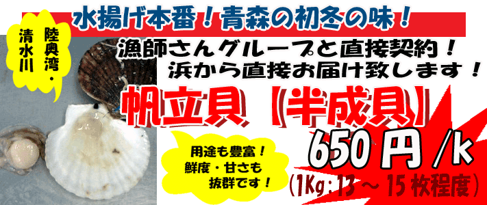 �X�E�����p�A������@���������L