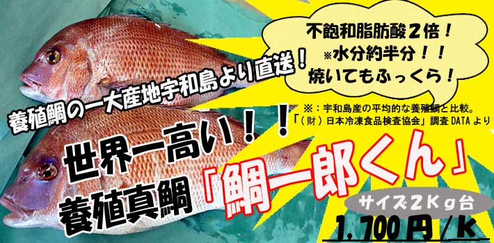 �F�a���E�{�B�^��@���Y������W