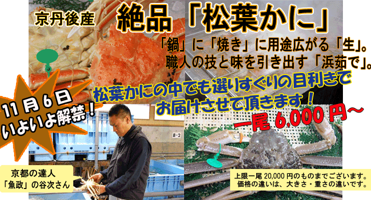 ���s�O��Y�@���t����