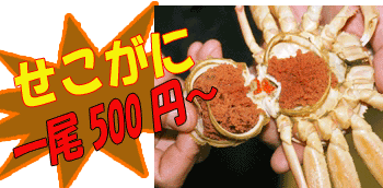 ���s�O��Y�@��������