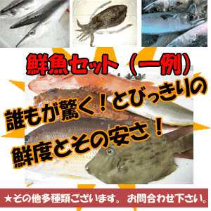 ���m�E�y�������̒n��