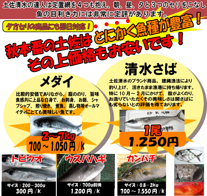 ���m�E�y�������̒n���@���_�C�E�����T�o�Ȃ�