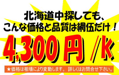 �^�^�����q�E�l�i