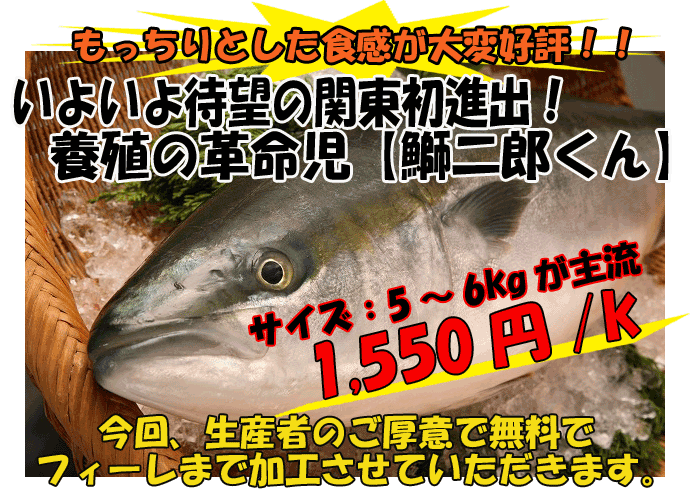 �F�a���E�{�B�܂��ܓ�Y����