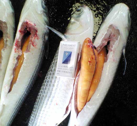 �{���̗���