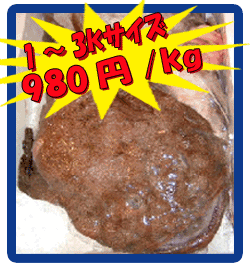 �R�`���Y���񂱂�