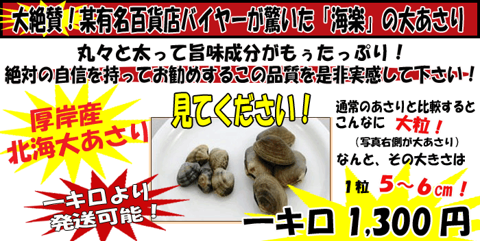 �k�C���E���݂̊C�y�̑傠������W