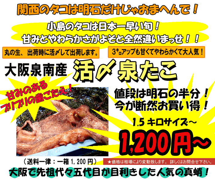 �����Y�E���Y�򂽂����W