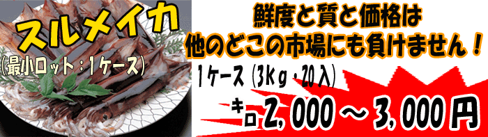 �X�����C�J