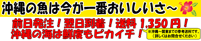 ����̋��͍�����Ԕ����������`