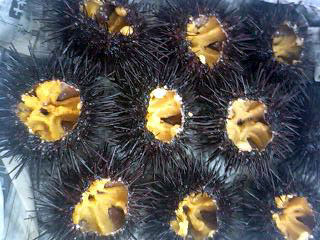 ��ԎY�@���k�t������