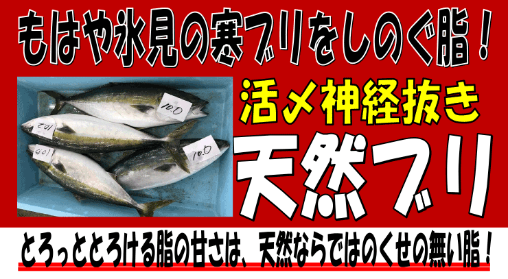 �k�C�����Θp�Y�@�V�R�u��