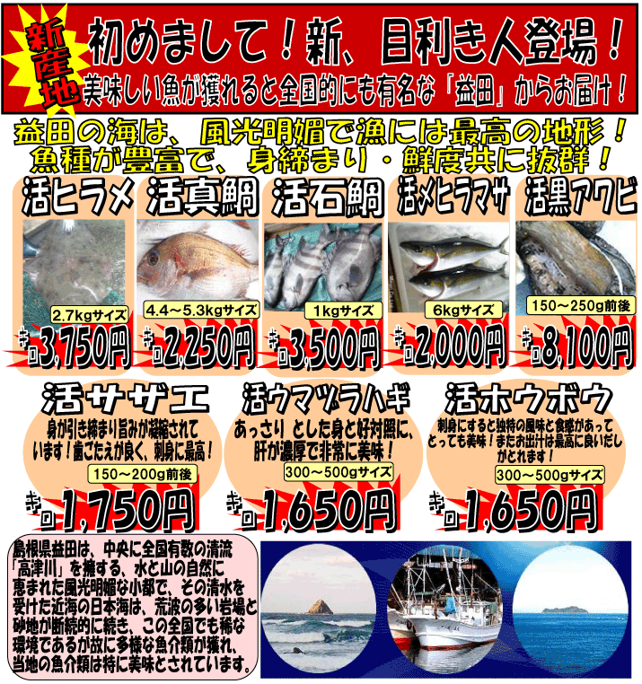 �V�Y�n�I�������v�c�@�q�����E�^��Ȃ�