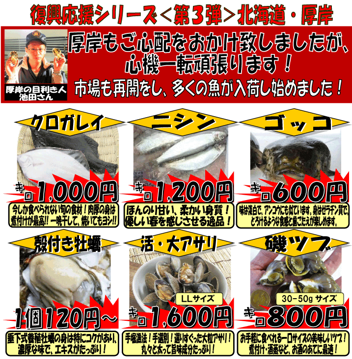 ���������I�k�C���E����