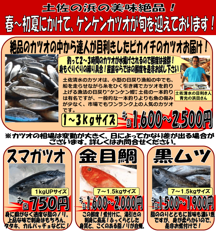 ���m���y�������@���i�J�c�I�j