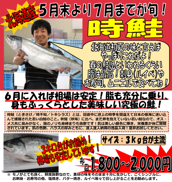 �k�C���Y�@�����i�g�L�T�P/���s�m/�g�L�V���Y�j