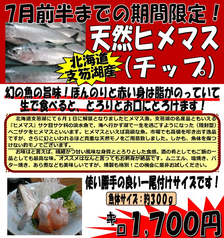 �k�C���x┌ΎY�@�V�R�q���}�X