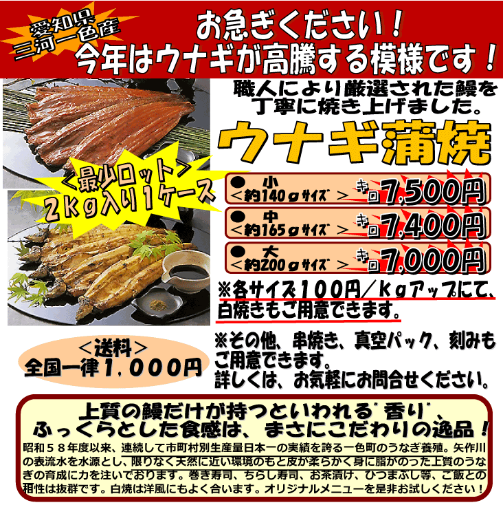 �O�͈�F�Y�@�E�i�M����