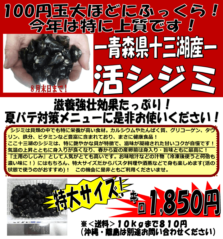 �X���\�O�ΎY�@���V�W�~