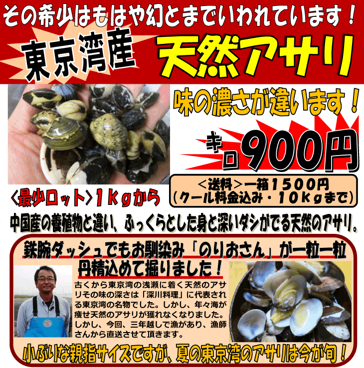 �����p�Y�V�R������/