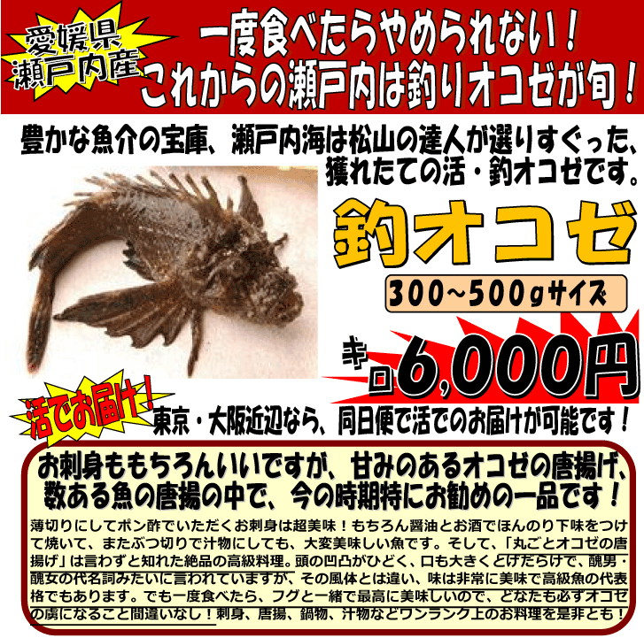 ���Q�����˓��Y�@�ނ�I�R�[