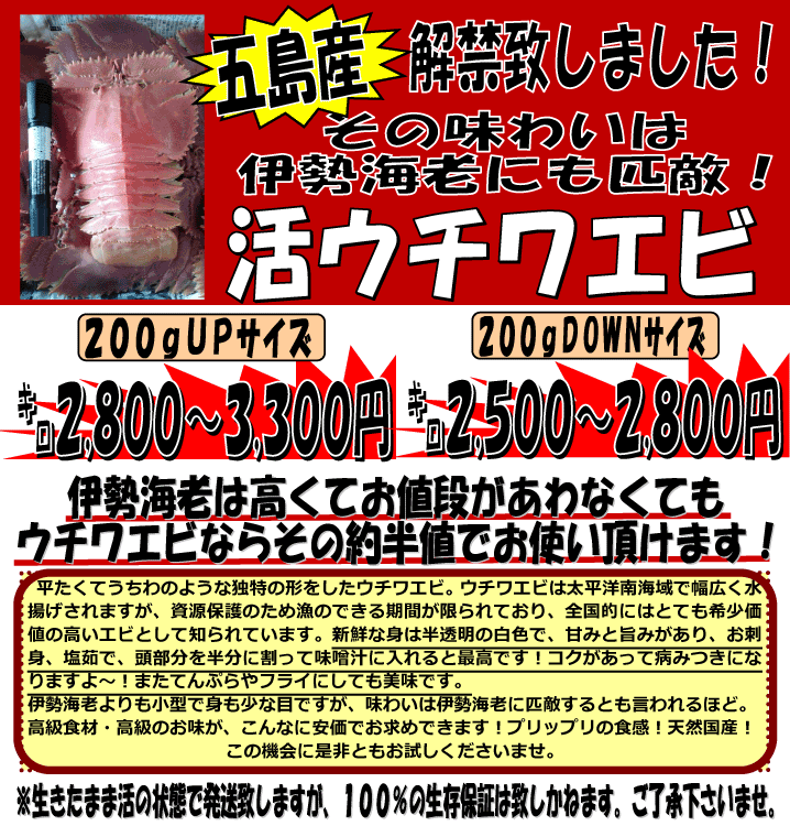 ���茧�ܓ��Y�@���E�`���G�r