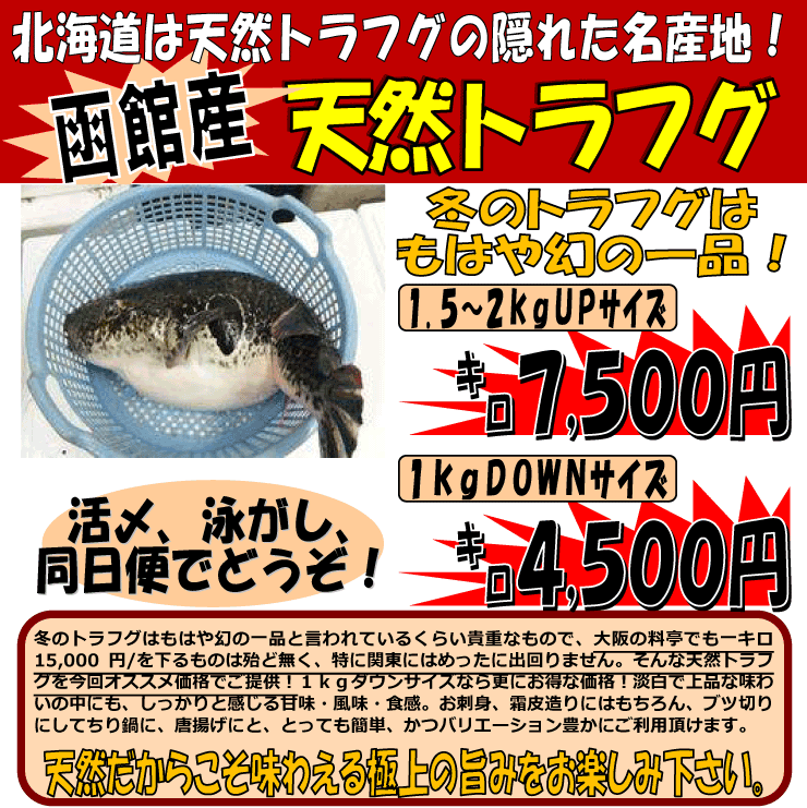 ���َY�@�V�R�Ƃ�ӂ�