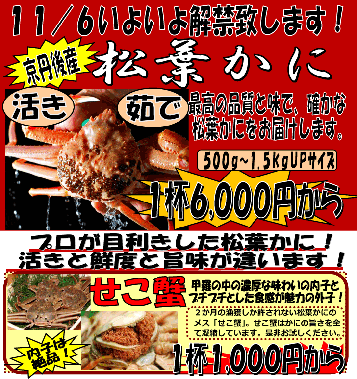 ���s�O��Y�@���t���Ɂ������I