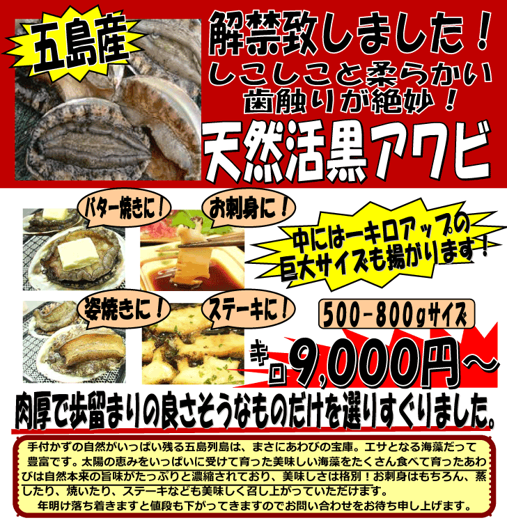 ���茧�ܓ��Y�@���V�R���A���r