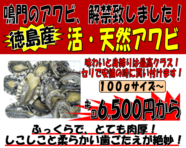 �������Y�@���E�V�R�A���r