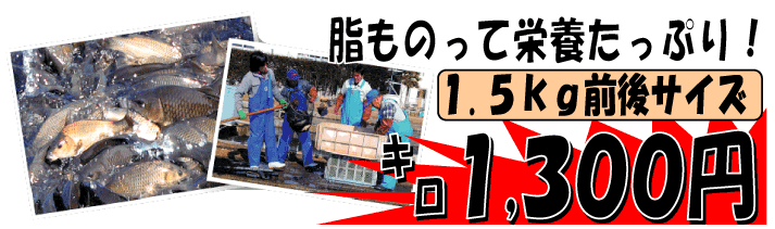 ���쌧�Y�@���Y��""