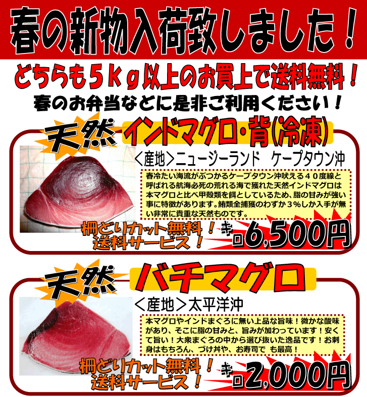 �V�R�C���h�}�O�����o�`�}�O��