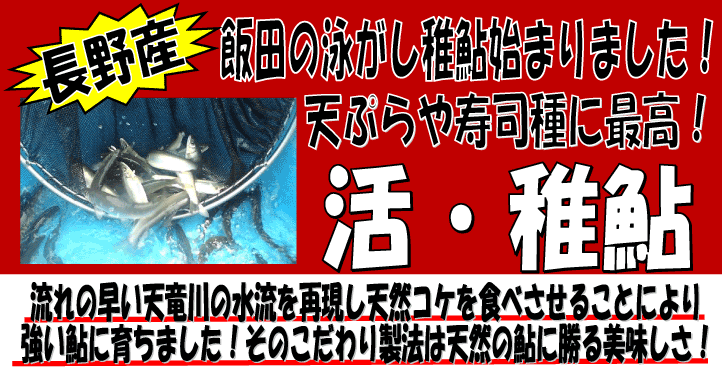 ���쌧�Y�@���t�A��