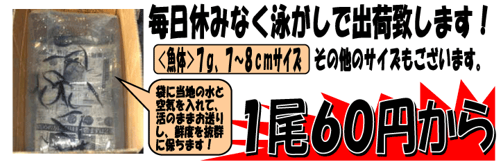 ���쌧�Y�@���t�A��