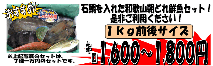 �a�̎R���Y�@�V�R���C�V�_�C